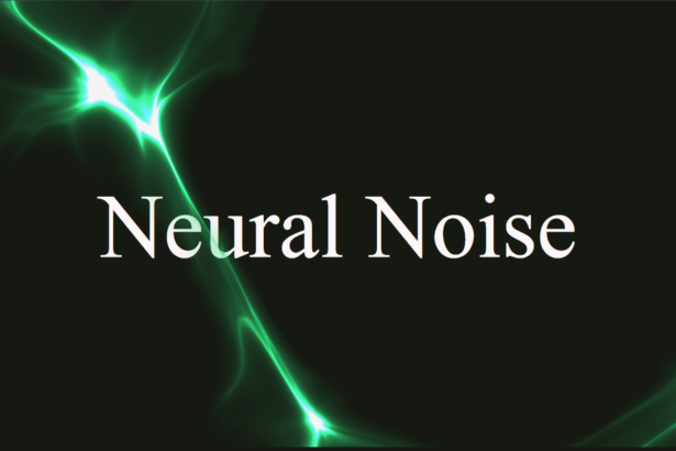 Neural Noise